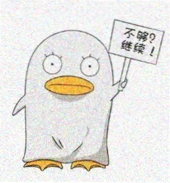 候鸟电台头像